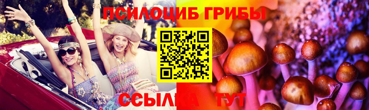 Галлюциногенные грибы Magic Shrooms Дзержинск