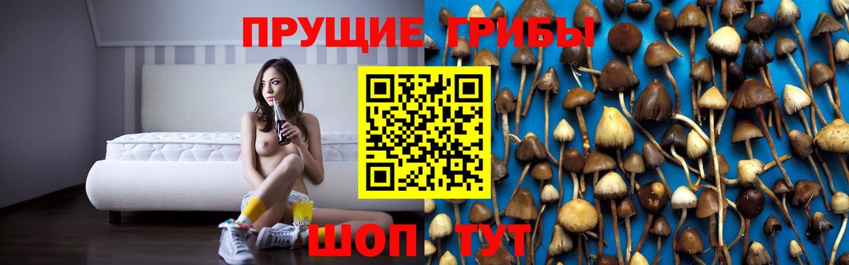 Дзержинск  Псилоцибиновые грибы прущие грибы  купить   Псилоцибиновые грибы Psilocybine cubensis  Вход с VPN 